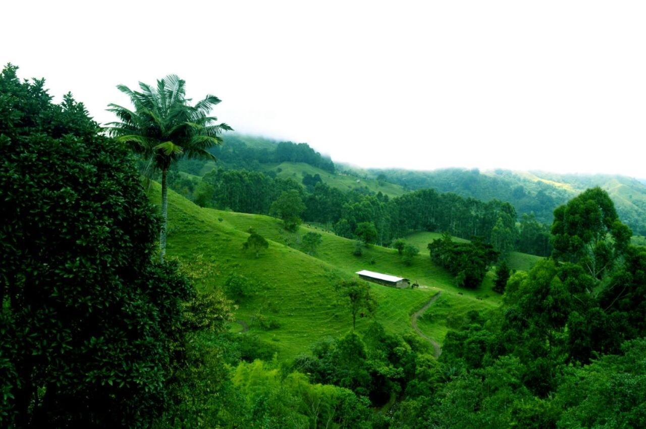 Mirador De Los Cedros ซาเลนโต ภายนอก รูปภาพ